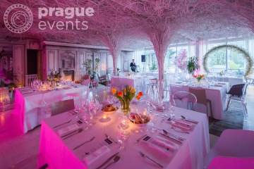 Unique restaurant concept